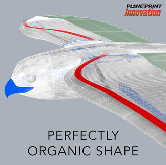 Innovative features of the 3d printed planeprint Falcon