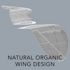 Natural organic wing design of the Planeprint Seagull.