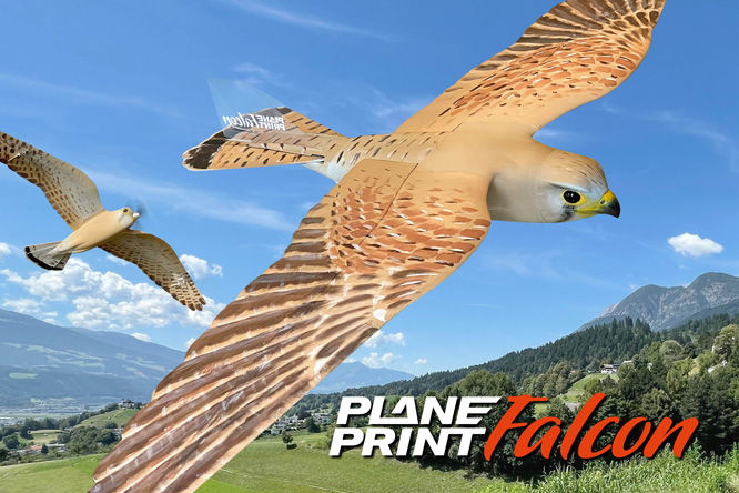Planeprint Falcon, 3d printed rc model plane.