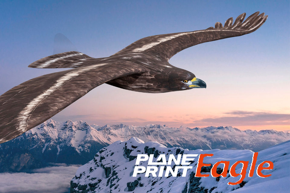 Planeprint Eagle, 3d printed rc model plane.