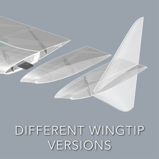 Innovative features of the 3d printable RC plane NOTOS