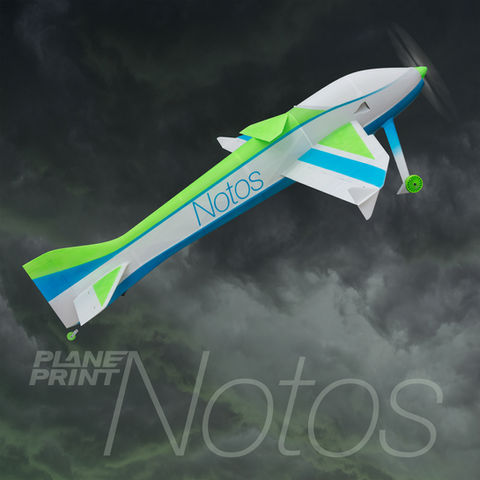 3d printed RC plane NOTOS