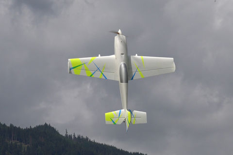 The Shard, 3d printed aerobatic rc plane