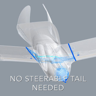 Planeprint Great Gull features