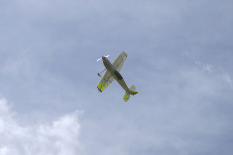 The Shard, 3d printed aerobatic rc plane
