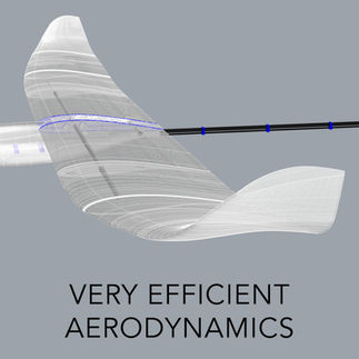 Innovative features of the 3d printed RC glider RISE nano