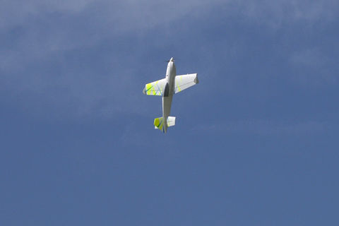 The Shard, 3d printed aerobatic rc plane