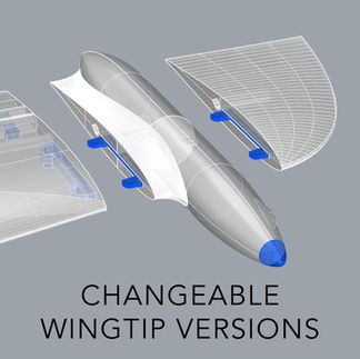Features of the new 3d printed Planeprint L39 Albatros
