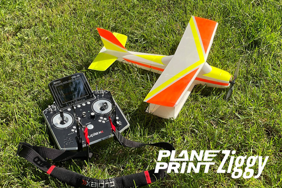 Planeprint Ziggy, 3d printed rc model plane.