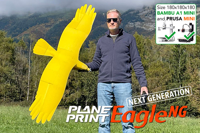 Planeprint Eagle NG, 3d printed rc model plane.