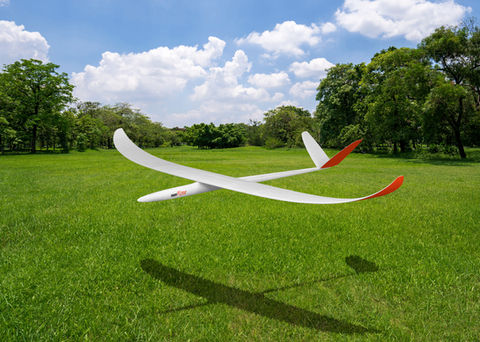 Rise by Planeprint, 3d printed rc glider