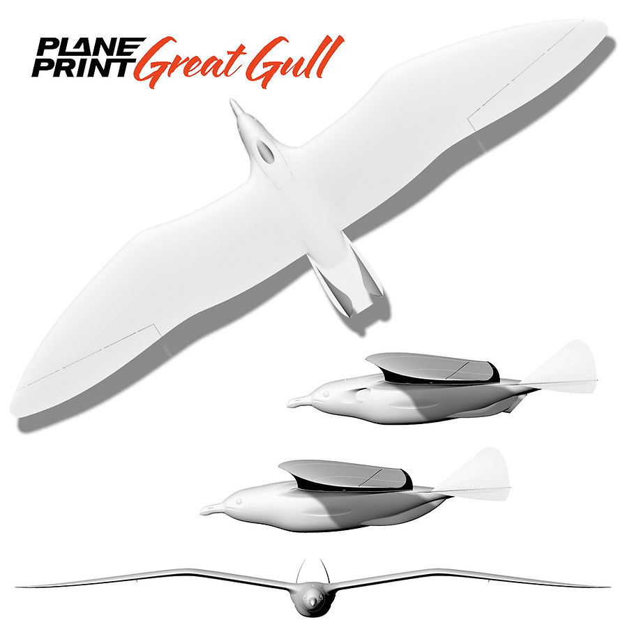 Planeprint Great Gull plan