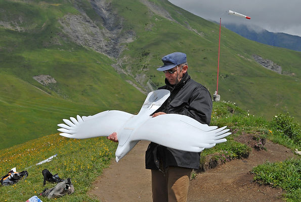Hans Martin Riehle and the Planeprint Eagle.