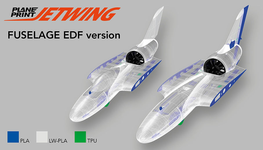 Jetwing by Planeprint fully 3d printed jet edf version
