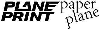 Planeprint Paper Plane RC 3d printed plane