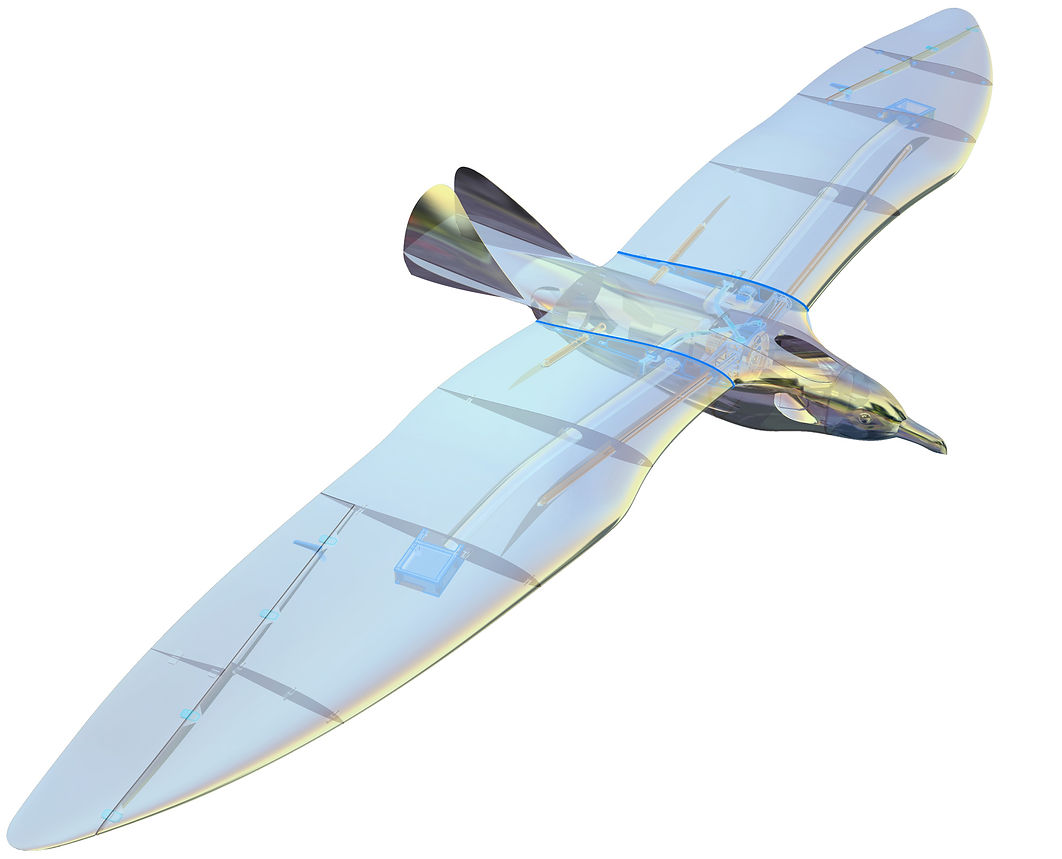 Planeprint Great Gull