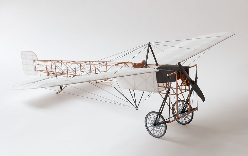 Fully 3d printed plane Bleriot by Planeprint