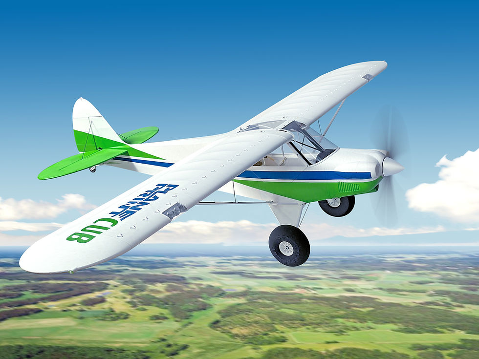 Planeprint Cub