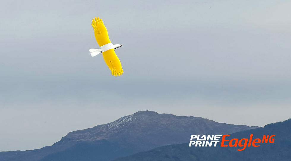 Planeprint Eagle NG official pic