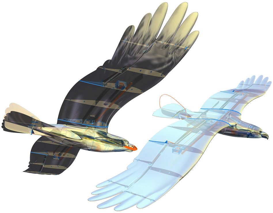 Planeprint Eagle NG Render motor and glider
