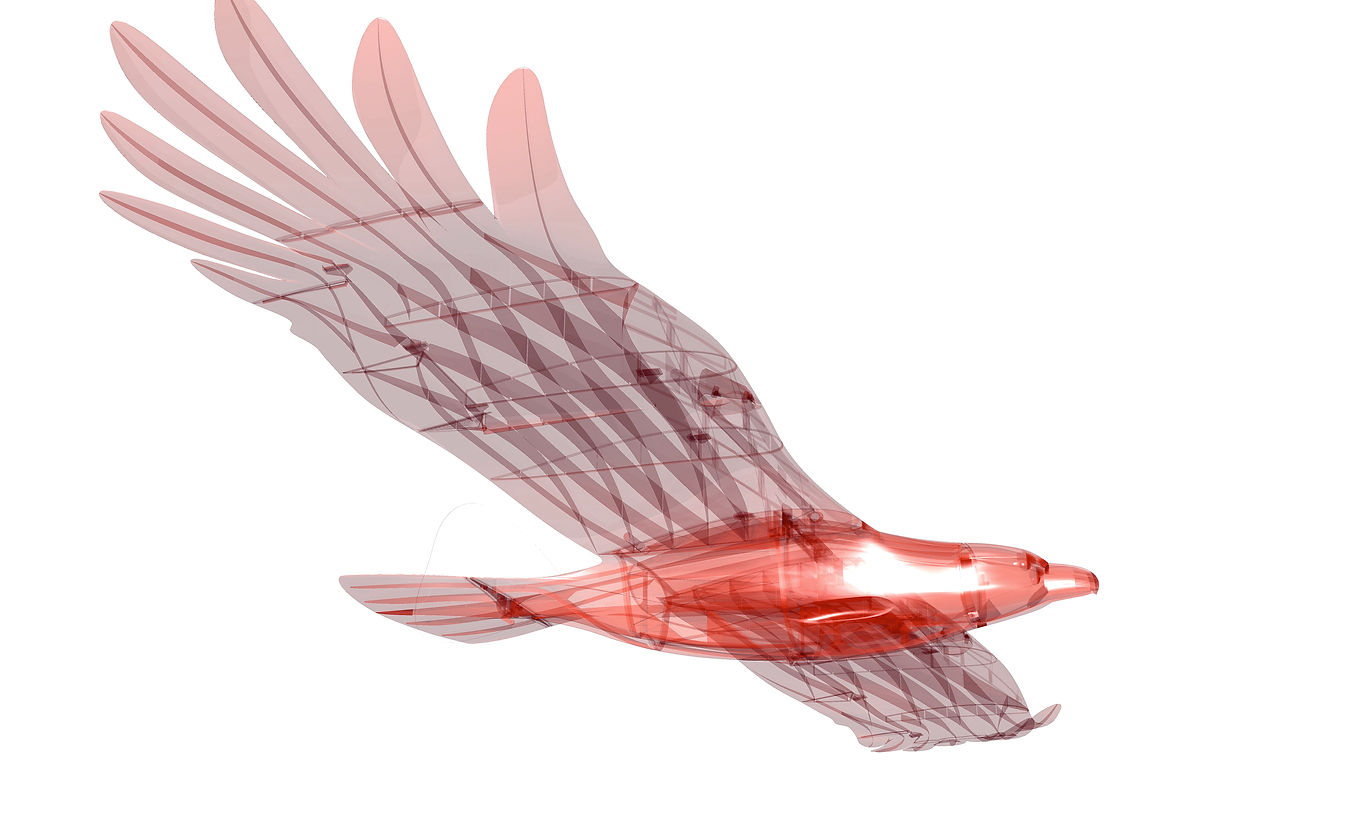 3d printable rc plane eagle