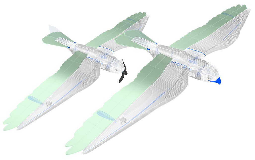 Planeprint Falcon rendering