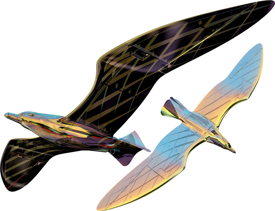 Planeprint Seagull both