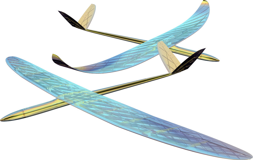 3d printed glider Rise Planeprint
