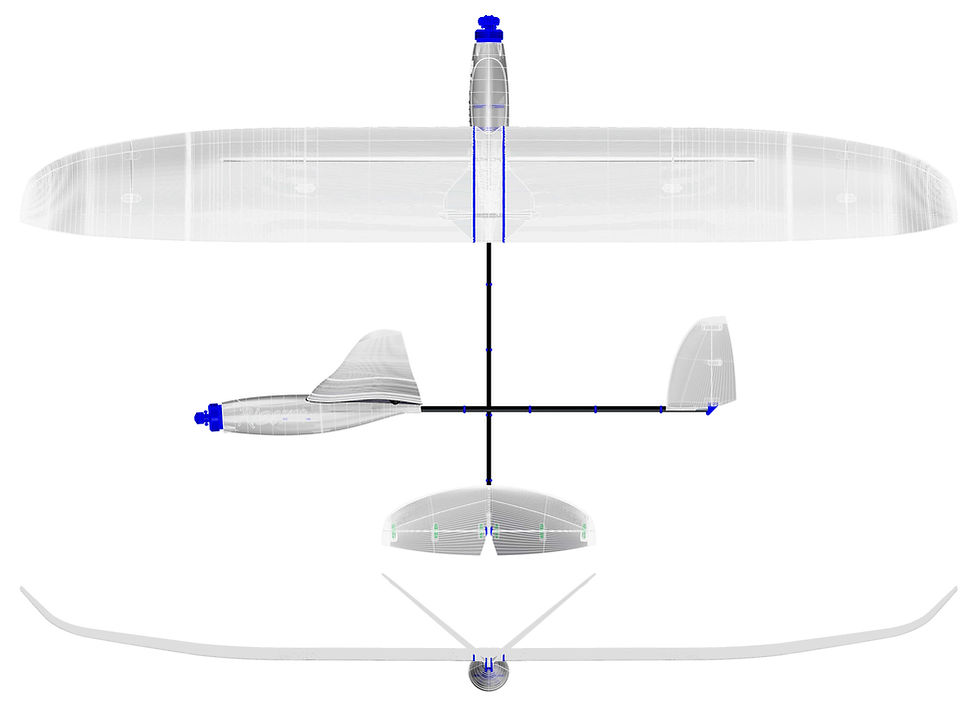 The Rise nano RC glider