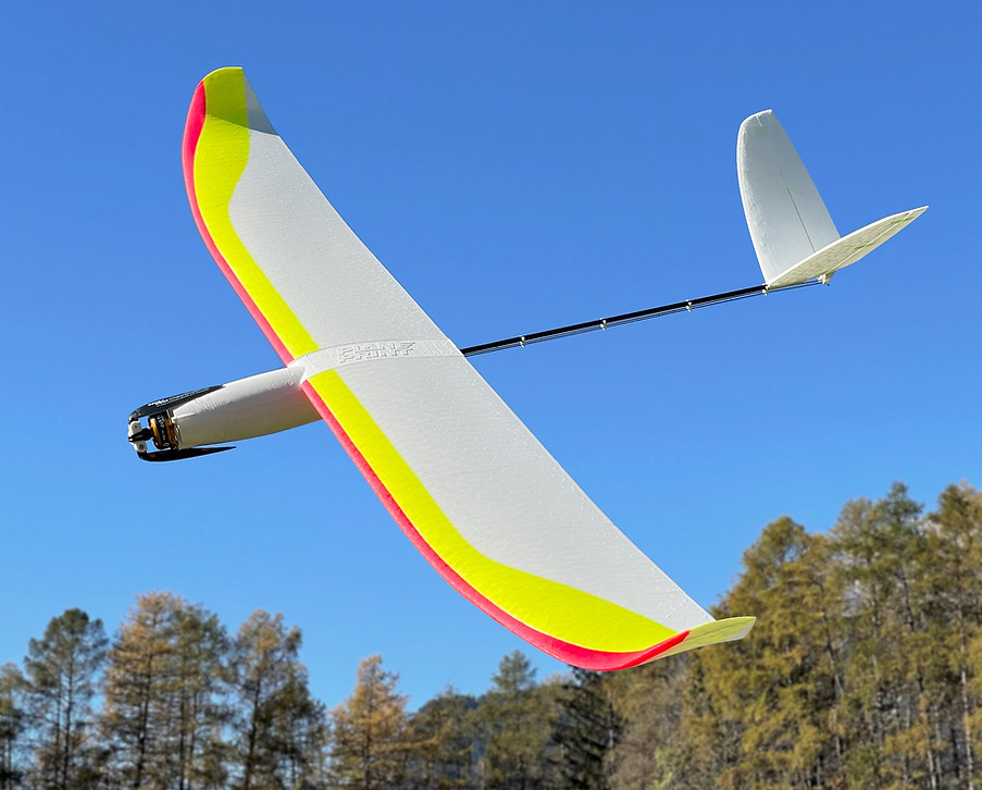 Fully 3d printed RC glider Rise nano