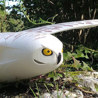Detail Snowy owl 3d printed
